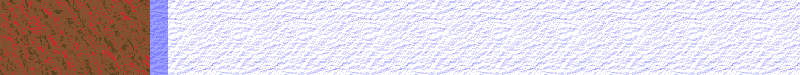 BAC805.GIF