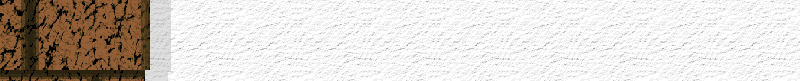 BAC781.GIF