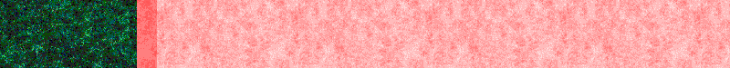 BAC775.GIF