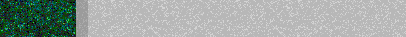 BAC711.GIF