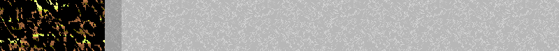BAC709.GIF