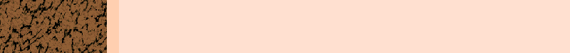 BAC673.GIF