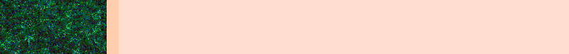 BAC663.GIF