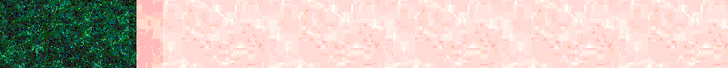 BAC565.GIF