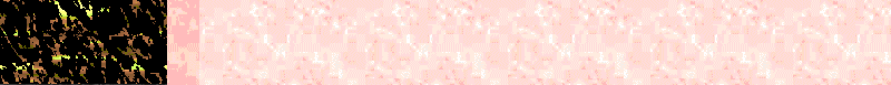 BAC563.GIF