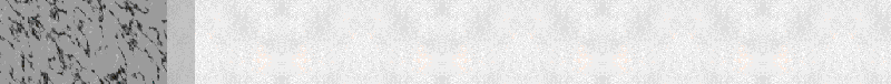 BAC555.GIF