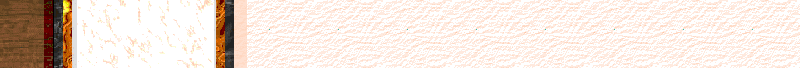 BAC533.GIF
