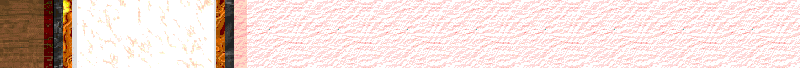 BAC529.GIF