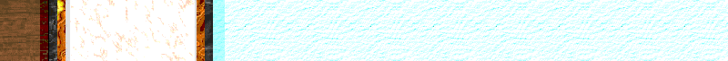 BAC521.GIF