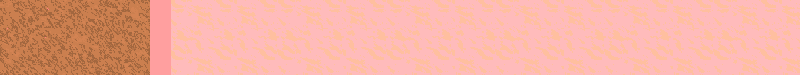 BAC495.GIF
