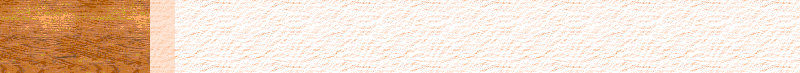 BAC471.GIF