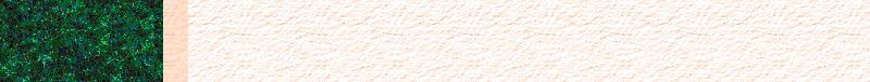 BAC467.GIF