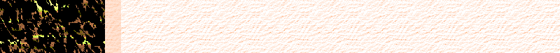 BAC465.GIF