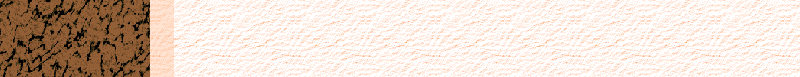 BAC463.GIF