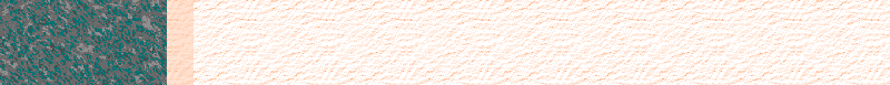 BAC461.GIF