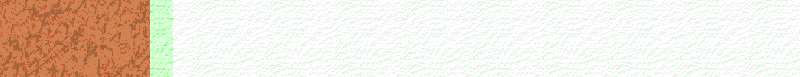 BAC455.GIF