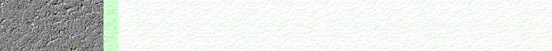 BAC449.GIF