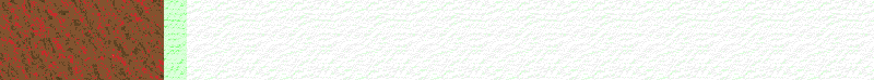 BAC447.GIF