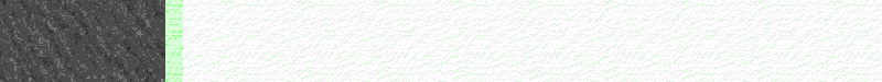 BAC441.GIF