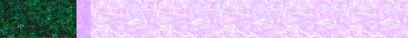 BAC395.GIF