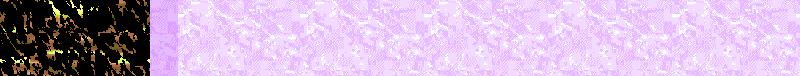 BAC393.GIF