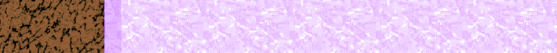 BAC391.GIF