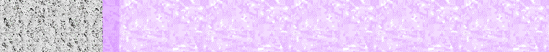 BAC385.GIF