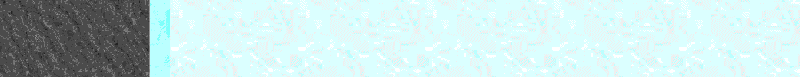 BAC369.GIF