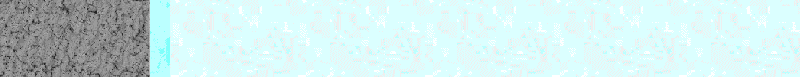 BAC367.GIF