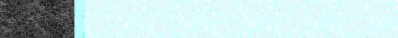 BAC365.GIF