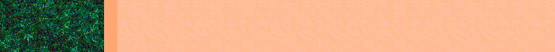 BAC353.GIF