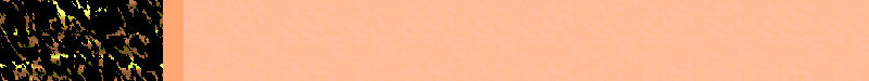 BAC351.GIF