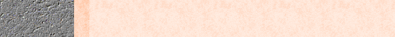 BAC349.GIF