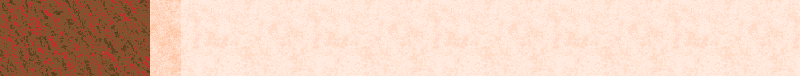 BAC347.GIF