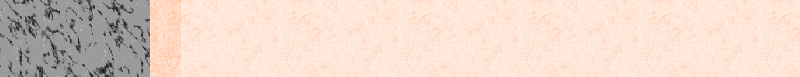 BAC343.GIF