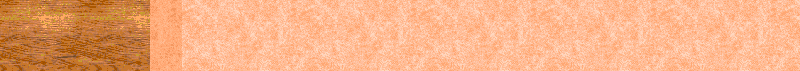 BAC329.GIF