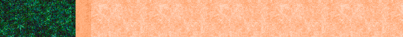 BAC325.GIF