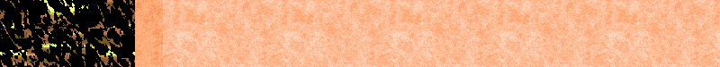 BAC323.GIF