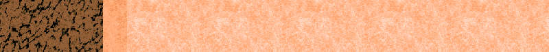 BAC321.GIF