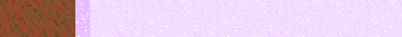 BAC305.GIF