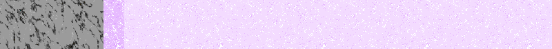 BAC301.GIF