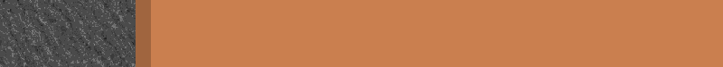 BAC295.GIF