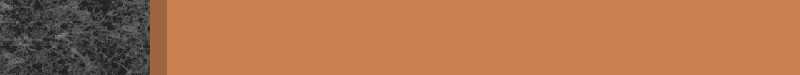BAC291.GIF