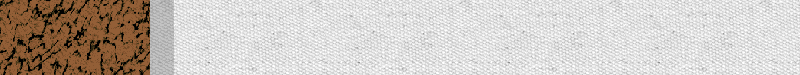 BAC289.GIF