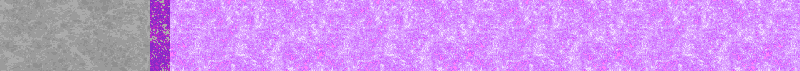 BAC196.GIF