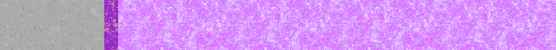 BAC194.GIF