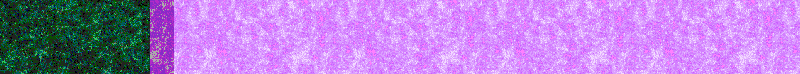 BAC186.GIF