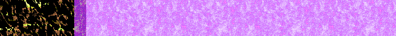 BAC184.GIF