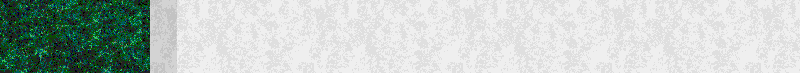 BAC158.GIF