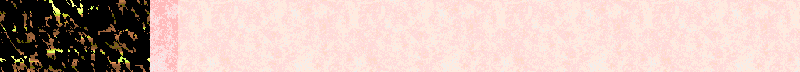 BAC141.GIF